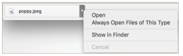 Screenshot 2024-07-08 at 11.42.49 AM.png